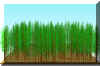 FOREST13.JPG (164233 bytes)