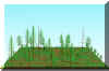 FOREST17.JPG (94857 bytes)