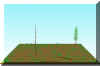 FOREST1.JPG (44524 bytes)