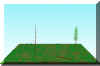 FOREST2.JPG (51683 bytes)