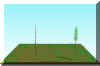 FOREST3.JPG (48230 bytes)