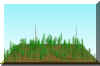 FOREST6.JPG (90670 bytes)
